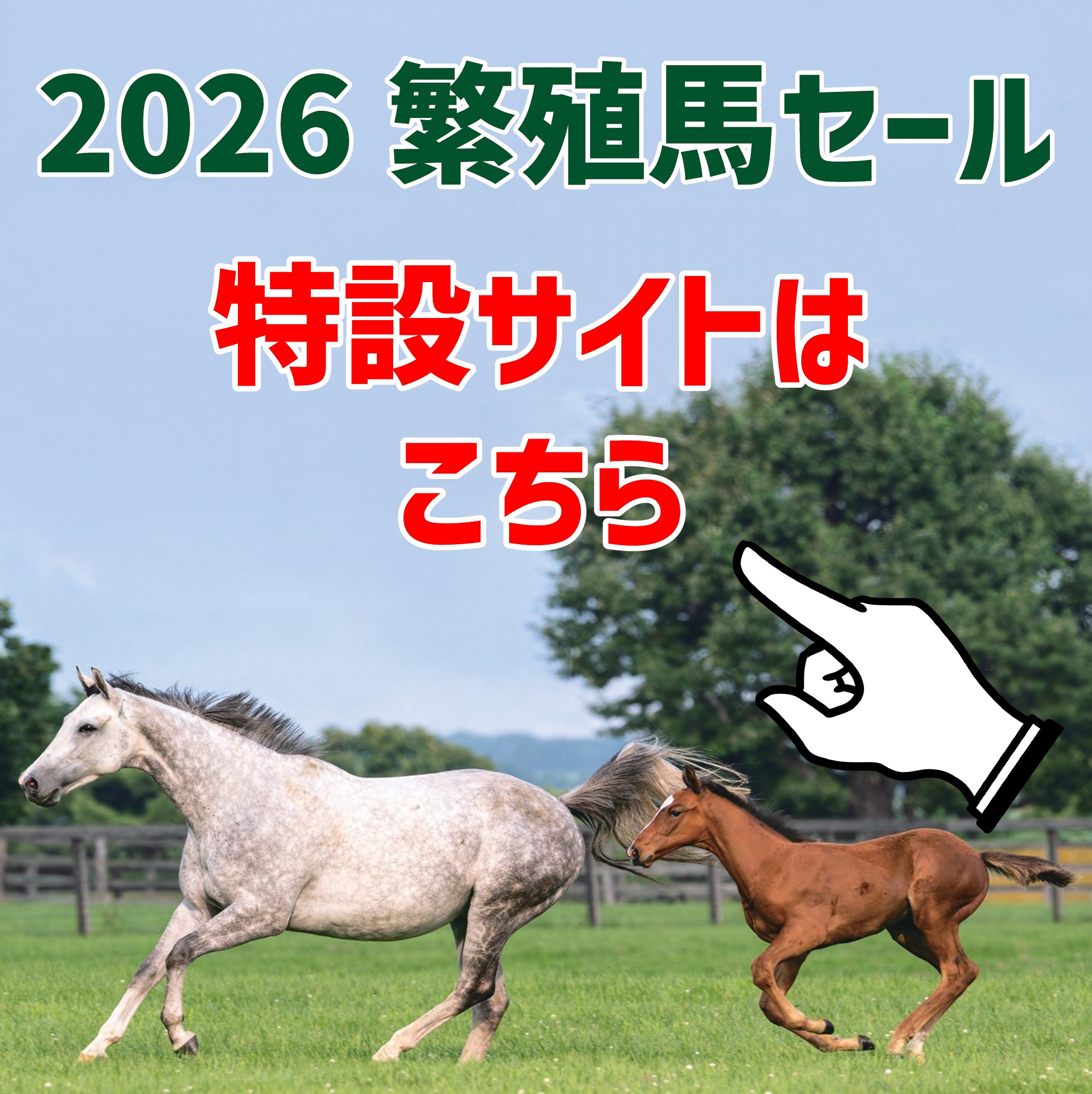 2026繁殖馬セール